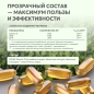 Антиоксидант NaturalSupp Omega 3 EPA 260/DHA 400 60 капсул